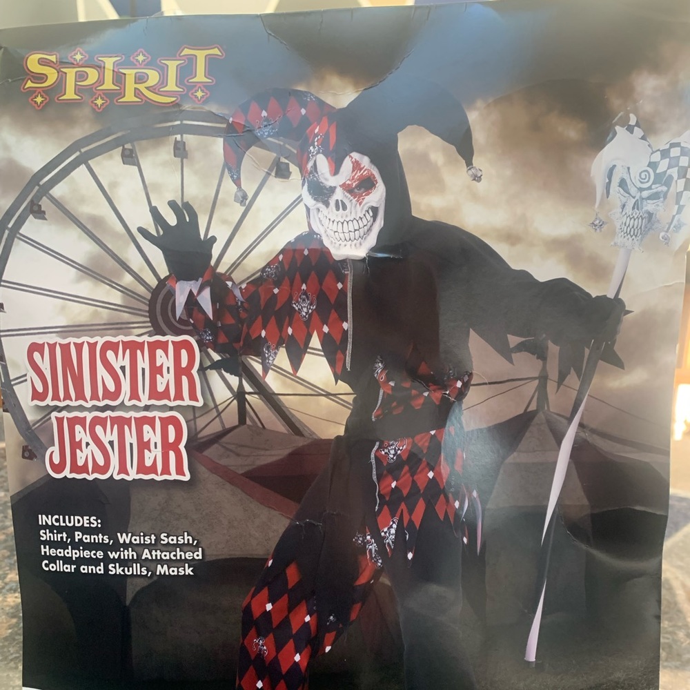 Boys Sinister Jester Halloween costume